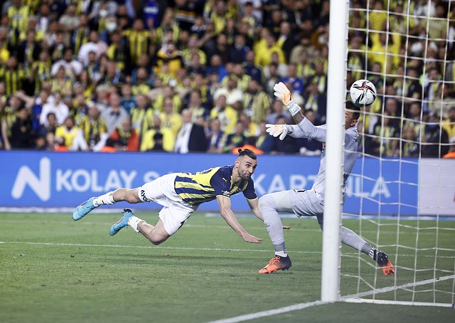 了自己的国 了自己的国