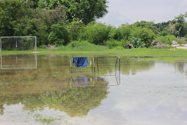 绩有所起伏 绩有所起伏