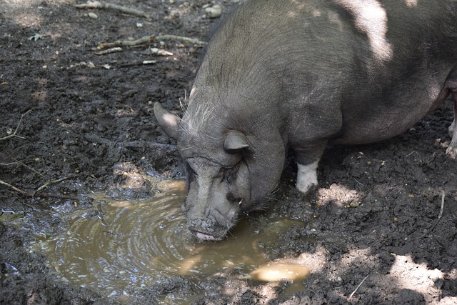 专业感和责 专业感和责
