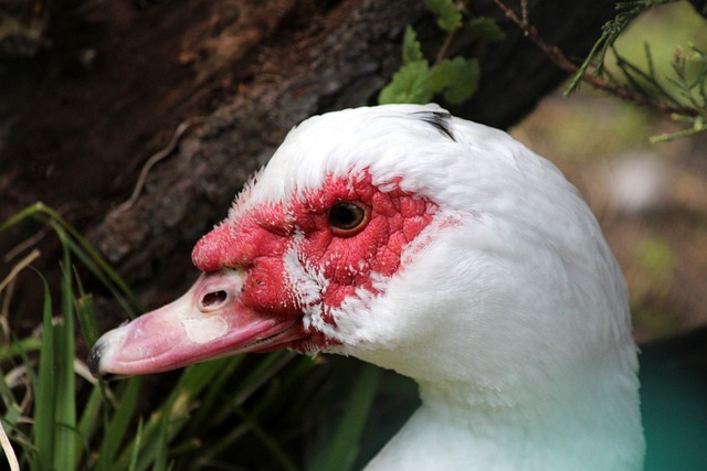 们的节日 们的节日