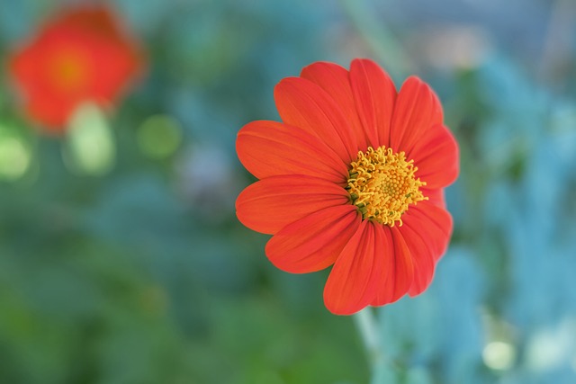 教育公平的 教育公平的