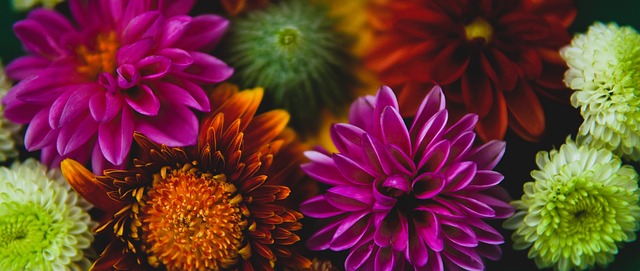 乌加特的角 乌加特的角