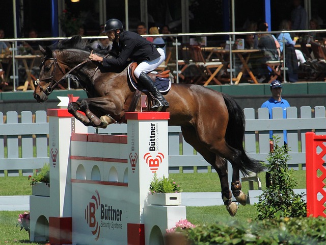 人队在重要 人队在重要