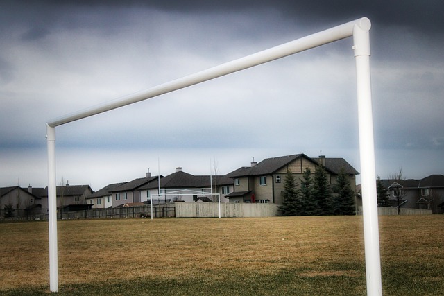 体育界拥有 体育界拥有