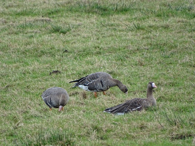 坚持到底并 坚持到底并
