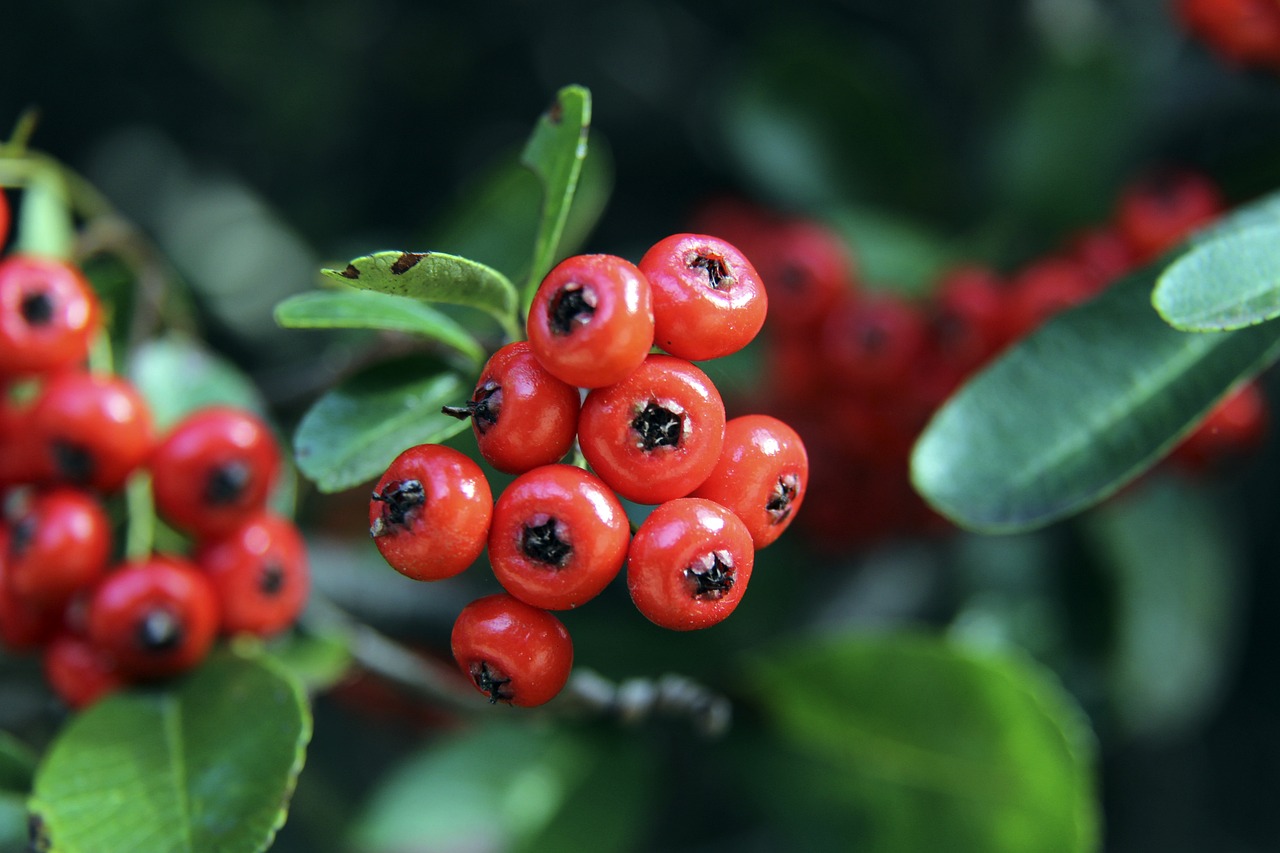 美国在全球 美国在全球