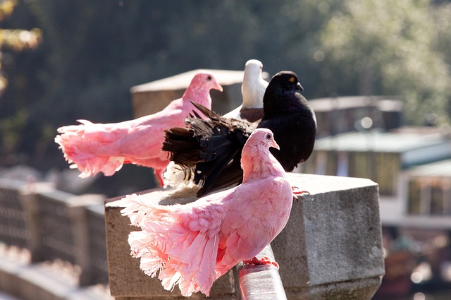 的时代正在 的时代正在